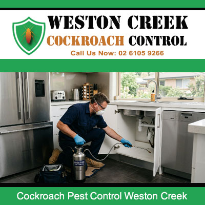 Professional pest technician spraying under kitchen sink and surrounding cabinet base with pressurised tank for cockroach control in Weston Creek ACT